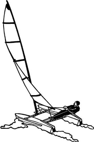 https://www.voile-lacanau.fr/Catamaran